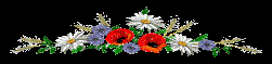 http://os1.i.ua/3/1/9483332_191d174d.gif